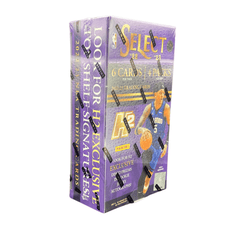 2022/23 Panini Select Basketball Hybrid Hobby Box