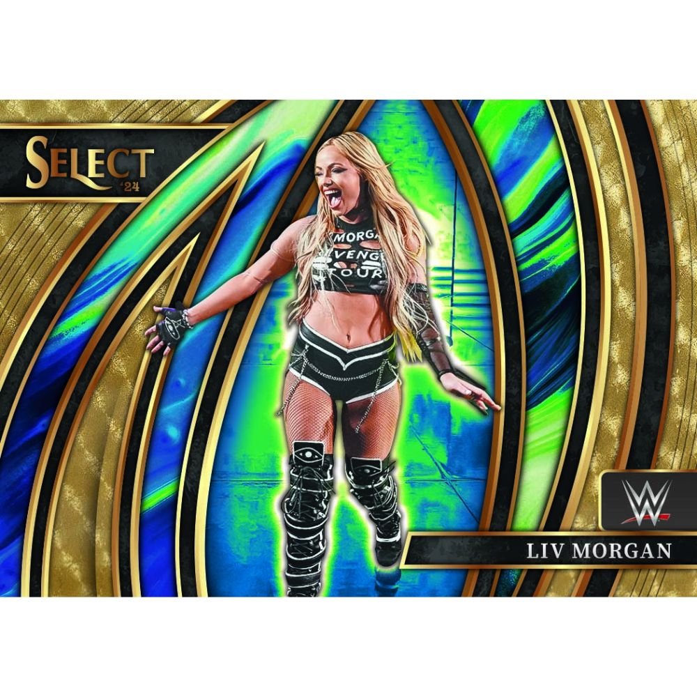 2024 Panini Select WWE Hobby Box