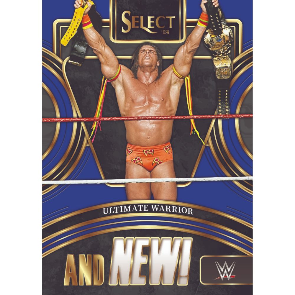 2024 Panini Select WWE Hobby Box