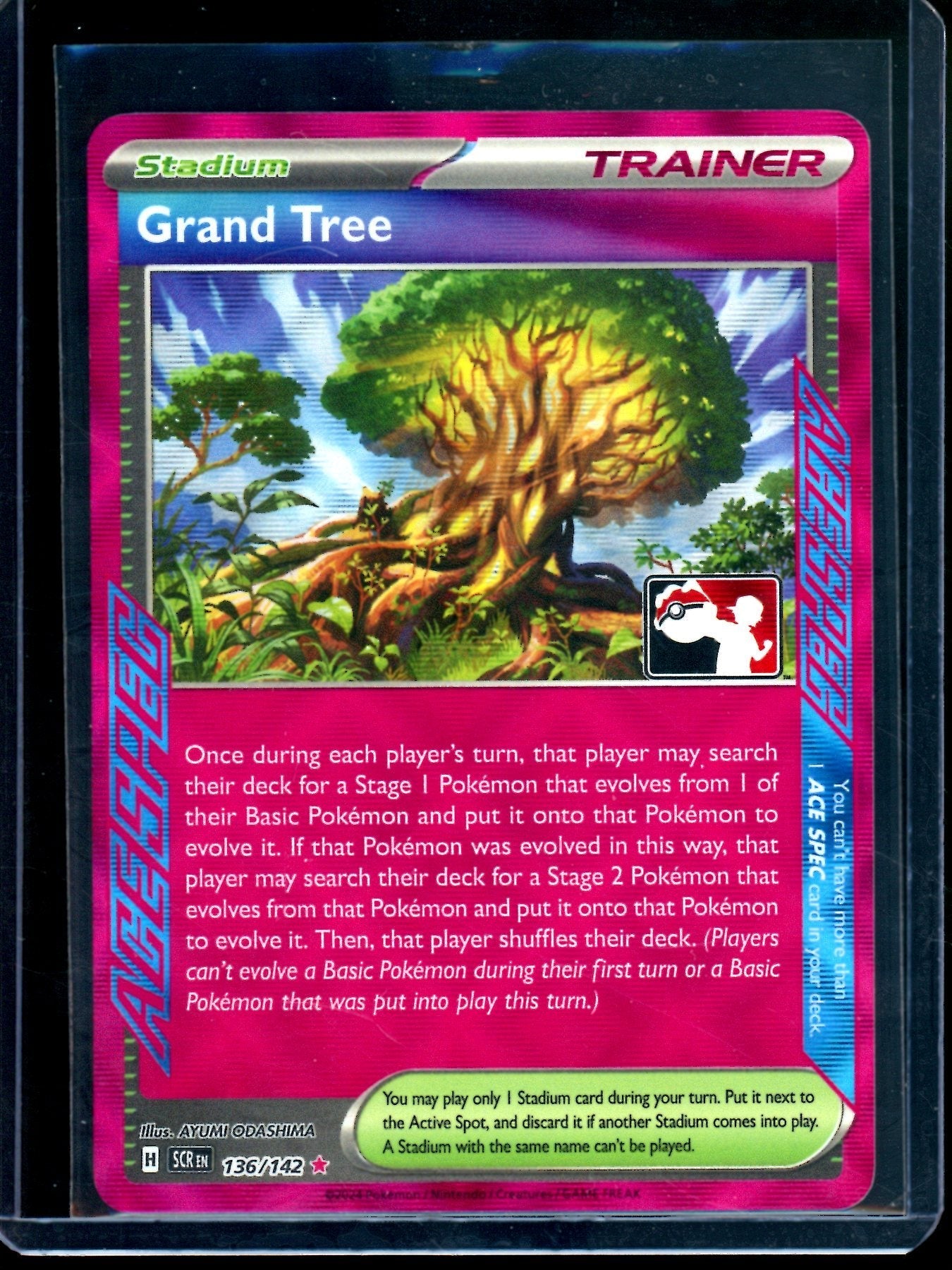 2024 Pokemon Tournament Pack Grand Tree 136/142