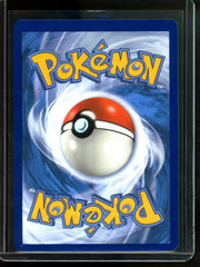 2022 Pokemon Go Radiant Eevee SWSH230