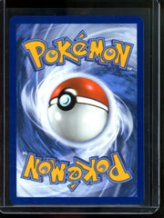 2025 Pokemon White Flare Garbodor 141/086